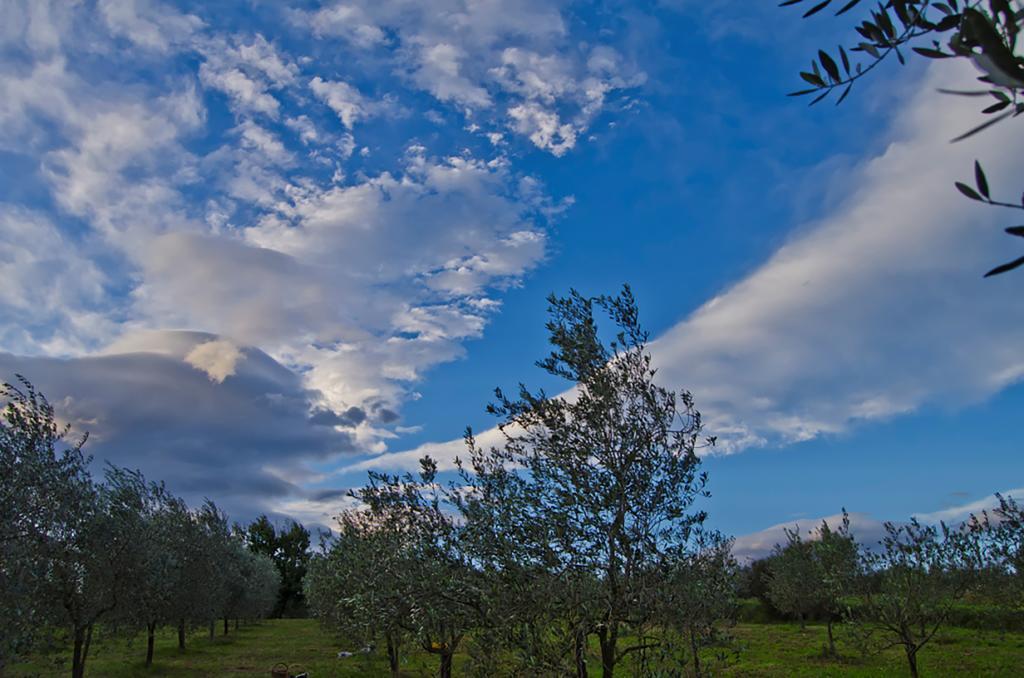 Agriturismo Tenuta Il Vallone Vila Monsummano Terme Exterior foto